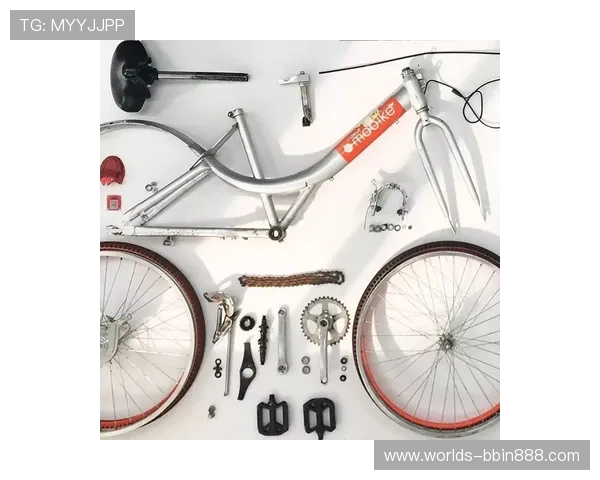 bbin糖果派的用户评价与玩家心得分享真实体验助你做出明智选择