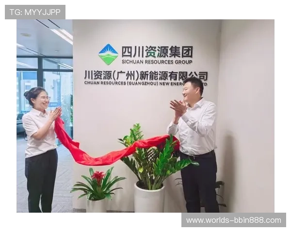 宝盈集团是干嘛的：宝盈集团在金融行业中的定位与主要服务内容